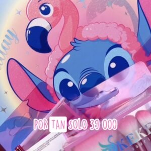 Lote Stich