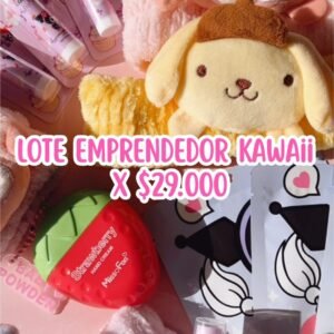 Lote Emprendedor Kawaii
